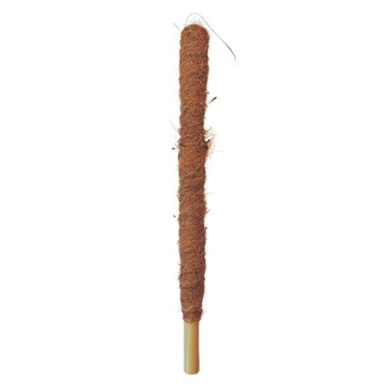 Palik kokosowy bambusowy wys. 80 cm śr. 25 mm