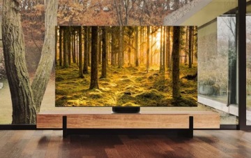 Телевизор Samsung QE85QN800C QLED 8K Smart TV Tizen DVB-T2