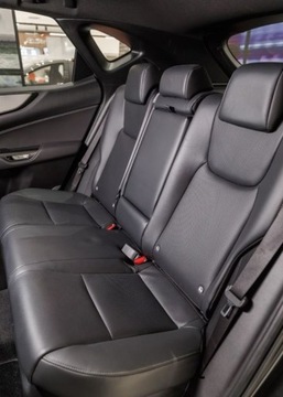 Lexus NX II 2023 Lexus NX 350h F Sport AWD 2.5 Hybryda 234KM, zdjęcie 11