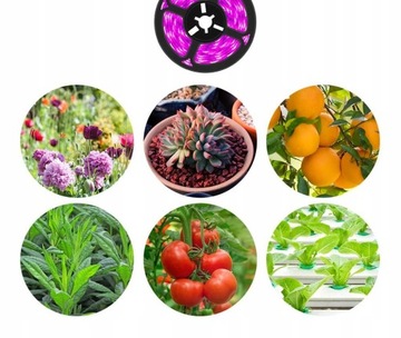 Taśma LED Plant Heckermann 1m USB IP20