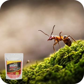 МУРАВЬЕВЫЙ ПОРОШОК СРЕДСТВЕННЫЙ ПРИГОТОВЛЕНИЕ ЯД МУРАВЬИНЫЕ ГНЕЗДА 1кг Фокус ГРАНУЛЯТ