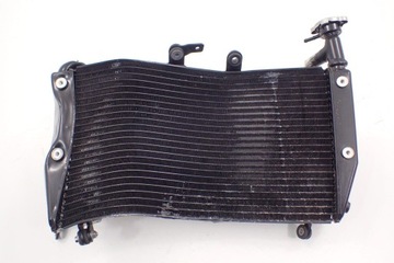Chłodnica Triumph Tiger 1200 XCA Exp 18-
