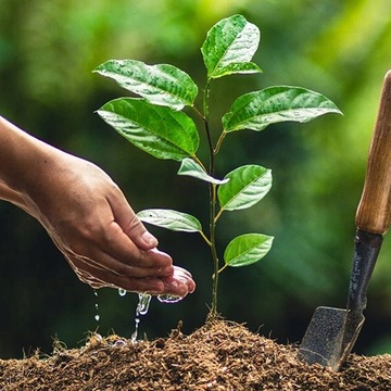 САДОВЫЙ ГИДРОГЕЛЬ 2 КГ ЗАДЕРЖИВАЕТ ВОДУ АГРОГЕЛЬ