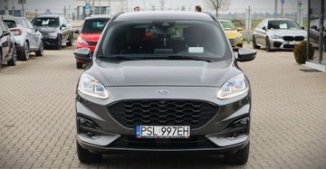 Ford Kuga III SUV 2.0 EcoBlue 190KM 2020 Ford Kuga (Nr.098) 2.0 Automat 4x4 ST Line HUD BO Klima Kamera Gwarancja, zdjęcie 8