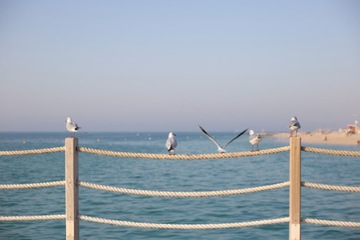 ДЖУТОВАЯ ВЕРЕВКА, скрученная парусная веревка, 8 мм, 50 МЕТРОВ