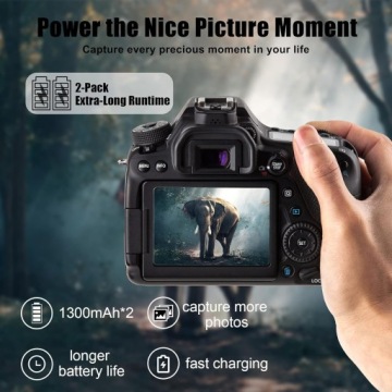 NP-FW50 Запасной аккумулятор и двухканальное зарядное устройство для Sony Alpha N765