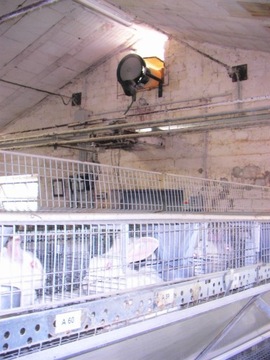 Охладитель и увлажнитель воздуха для птичников Aqua Turbo 15