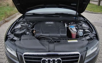 Audi A5 8T Sportback 2.0 TDI 143KM 2010 Audi A5 Sportback 2010r, 2.0 TDI, Automat, Skora, Xenon, Navi, Swietnie ut, zdjęcie 14