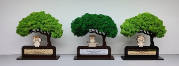 3D дерево бонсай из мха, стоящее на конец года, мистер Сова, любое зеркало с гравировкой