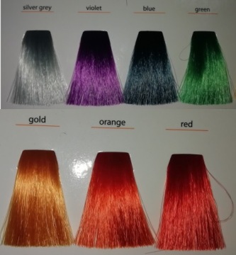 НАБОР КРАСОК CHANTAL PROSALON ART COLOR 5+1 100 МЛ