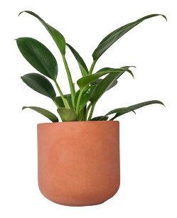 Doniczka betonowa 12cm barwiona terracotta