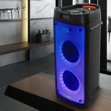 Аудиосистема BLAUPUNKT PB06DB FM-караоке