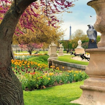 ЯСКОВ-СОКОЛ-ОТПУПЫВАТЕЛЬ ПТИЦ Скворцы ГОЛУБИ