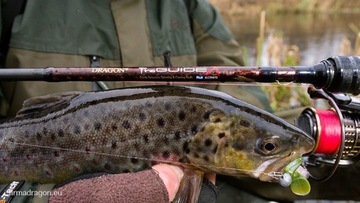 DRAGON ProGUIDE X-серия 2,75 м 4–21 г x-быстрое вращение