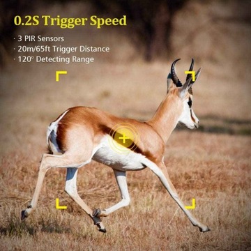 HC-900PRO КАМЕРА-ЛОВУШКА ПРИЛОЖЕНИЕ 4G LTE ДЛЯ ПРЯМОГО ПРОСМОТРА_`_`!_!