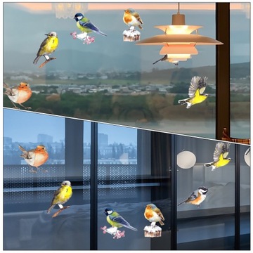 НАКЛЕЙКА НА ОКНО ПРИЗМАТИЧЕСКИХ ПТИЦ С КОНФИДЕНЦИАЛЬНОСТЬЮ