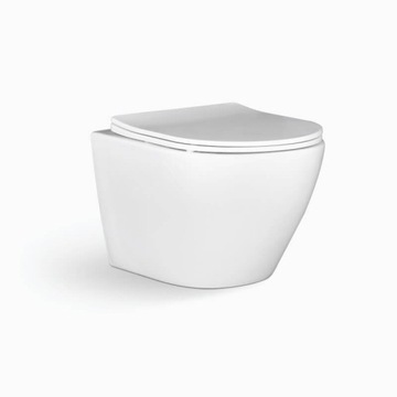 ПОДВЕСНОЙ УНИТАЗ LAVEO DESNA