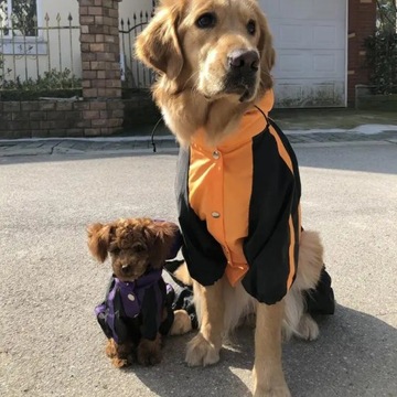 Водонепроницаемый плащ для собак Оксфорд Одежда для собак Куртка Комбинезон для щенка Чихуахуа