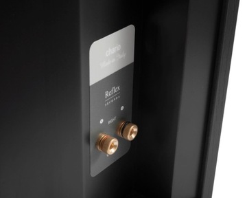 СТИЛЬНЫЕ КОЛОНКИ CHARIO REFLEX TERZA СДЕЛАНО В ИТАЛИИ