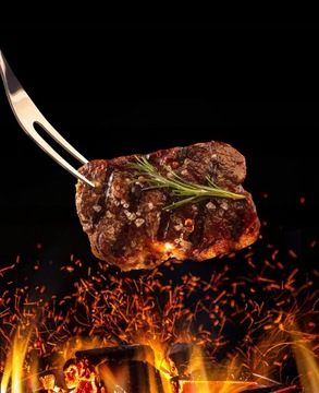 Принадлежности для барбекю – набор из 5 аксессуаров + чемодан.