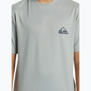 Футболка Quiksilver Everyday Surf Tee карьер S/10