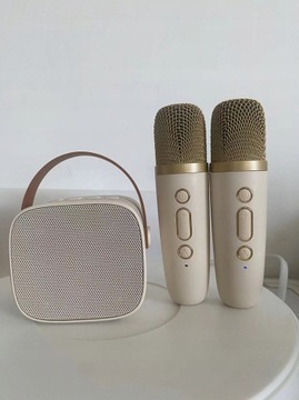 Уличная портативная аудиосистема Bluetooth
