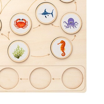 Montessori Toys Life Cycle Tray Flash Cards Growth Stage Educational Sqaure