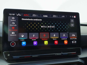 Cupra Formentor Crossover 2.0 TSI 310KM 2022 Cupra Formentor 2.0 Benzyna 310KM, zdjęcie 36