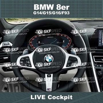 Километровый блокиратор BMW Series BMW 8 G14 G15 G16 F93