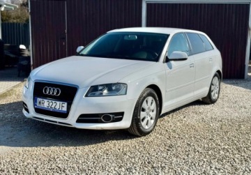 Audi A3 8P Hatchback 3d 1.6 TDI 105KM 2011 Audi A3 Sportback 1.6 TDI 105KM led climatronic 5 drzwi nowe sprzeglo 1.6, zdjęcie 7