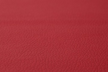 Чехлы MAN TGX TGL TGM TGS 23 - ремень пассажира, сиденье