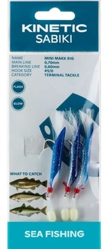 КИНЕТИЧЕСКАЯ МОРСКАЯ РЫБАЛКА ДЛЯ ТРЕСКИ