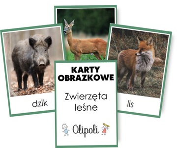 KARTY OBRAZKOWE zwierzęta LEŚNE - REALNE ZDJĘCIA 7x10cm - Montessori