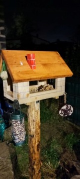 КРУТАЯ кормушка для птиц, кормушки, скворечник с птицей