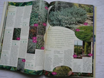 ВЫДЕЛИТЕ ВЛАДЕЛЬЦУ 200 СТРАНИЦ СПЕЦИАЛЬНЫЙ ВЫПУСК