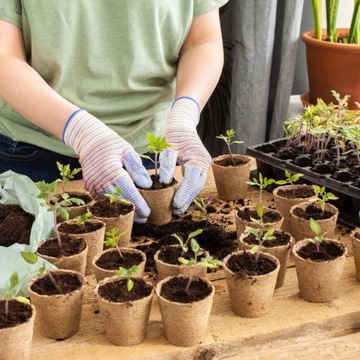 Ziemia DO ROŚLIN KWAŚNOLUBNYCH 50L do borówki azalie hortensje wrzos