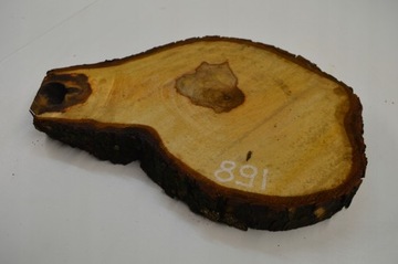 Срез древесины каштана 47x31см Gr4см Доска Patera