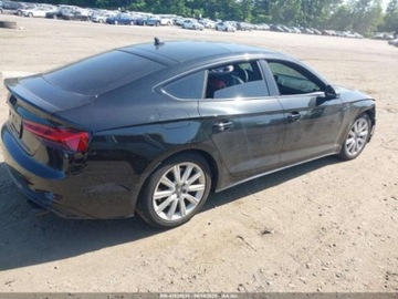 Audi A5 B10 2025 Audi S5 Coupe Sportback Premium Tfsi Quattro Tiptronic 2025 3.0l 3.0 349KM, zdjęcie 4