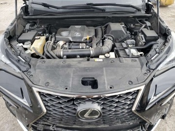 Lexus NX I 2019 Lexus NX 2019 LEXUS NX 300 BASE 2.0 Benzyna 235KM, zdjęcie 12