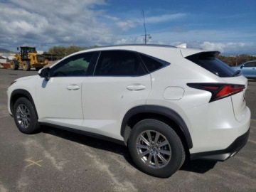 Lexus NX I 2020 Lexus NX 300 Base 2020 2.0L 2.0 Benzyna 235KM, zdjęcie 1