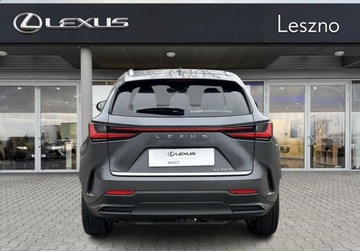 Lexus NX II SUV Facelifting 2.5 350h 243KM 2025 Lexus NX 350h Prestige Design Tazuna Premium VAT 23 Lexus Leszno, zdjęcie 7