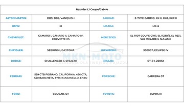 Противоградовый чехол для автомобиля Mustang III 7мм.