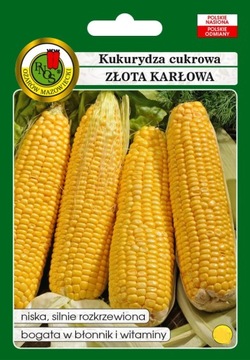 PNOS NASIONA KUKURYDZA CUKROWA ZŁOTA KARŁOWA 10G