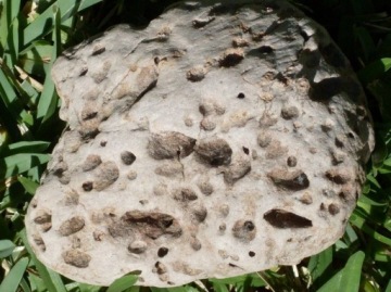 GARDEN PUMEX VULCANIC PUMICE для дренажа, цветочных горшков 0,5-2 мм 10 л
