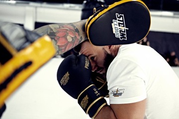 Боксерские перчатки StormCloud Boxing Pro, черные/золотые, 16 унций