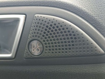 Ford Ecosport II SUV Facelifting 1.0 EcoBoost 125KM 2018 Ford EcoSport FordEcosport TitaniumAutomatHistoria ASOSalonPL Benzyna, zdjęcie 22