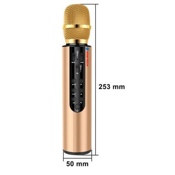 MIKROFON DLA DZIECI BEZPRZEWODOWY KARAOKE BLUETOOTH Z GŁOŚNIKIEM NAGRYWANIE