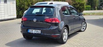 Volkswagen Golf VII Hatchback 3d 1.6 TDI BlueMotion 110KM 2016 Volkswagen Golf 1,6 TDI 110Km Alu Navi Import Raty Oplaty ASO 1.6, zdjęcie 10