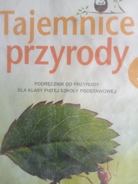 Przyroda Tajemnice przyrody SP kl.5 podręcznik