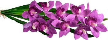 ORCHIDEA SZTUCZNY STORCZYK KWIATY DONICZKA LIŚCIE